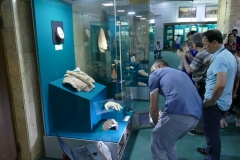 10_muzeum