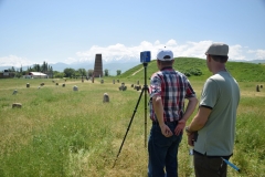 Field with stone carvings